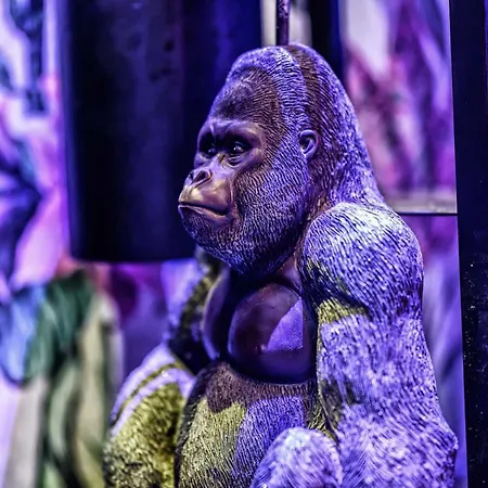 Hotel Hotel-restaurant Kostbar Engen